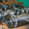 P-DellaFoglia2